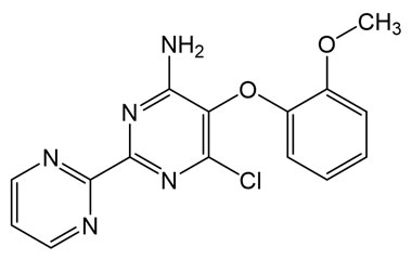 PAI 29 013006