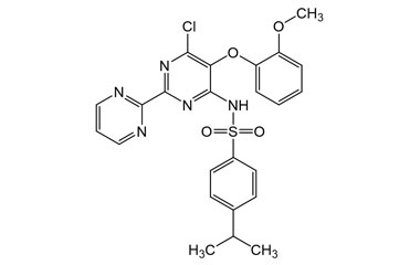 PAI 29 013010