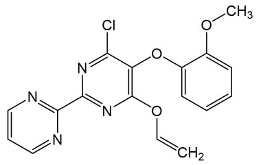 PAI 29 013012