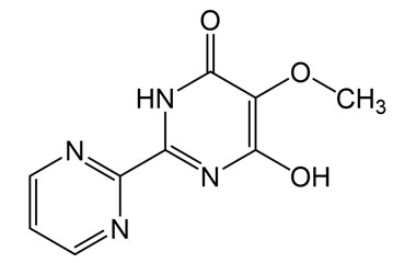 PAI 29 013013