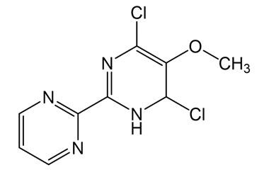 PAI 29 013015