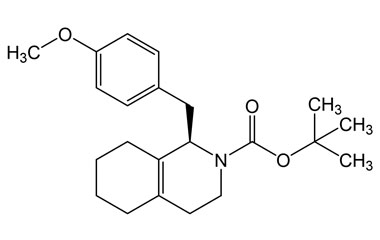 PAI 31 011004