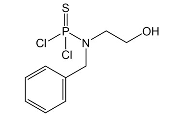 PAI 47 010002