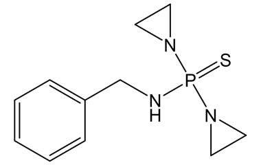 PAI 47 010007