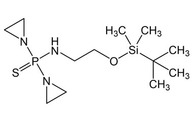 PAI 47 010013