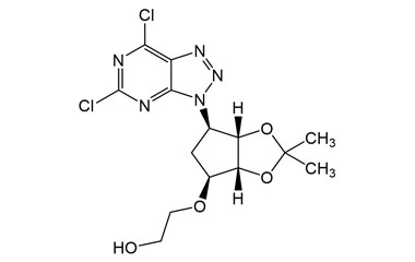 PAI 47 011002