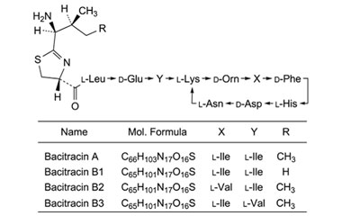 PA PEP 000022