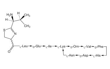 PA PEP 000023