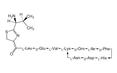 PA PEP 000024