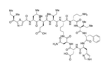 PA PEP 000026