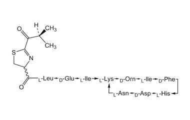 PA PEP 000027