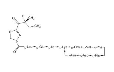 PA PEP 000028