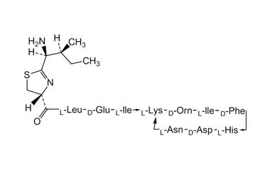 PA PEP 000030