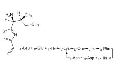 PA PEP 000031