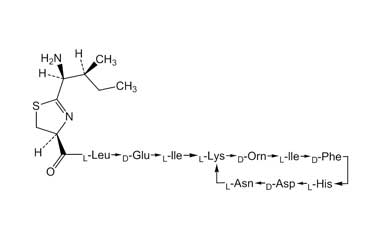 PA PEP 000032