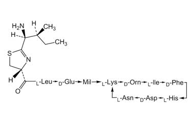 PA PEP 000033