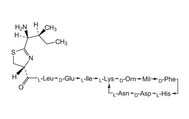 PA PEP 000034