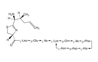 PA PEP 000035