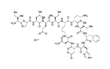 PA PEP 000036