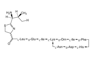 PA PEP 000038