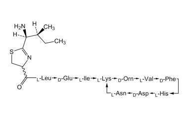 PA PEP 000039