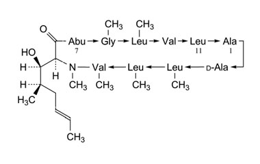 PA PEP 000043