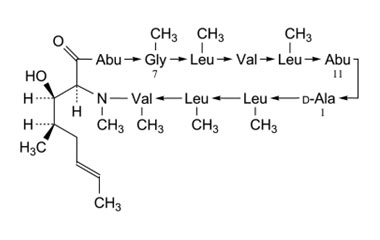 PA PEP 000044