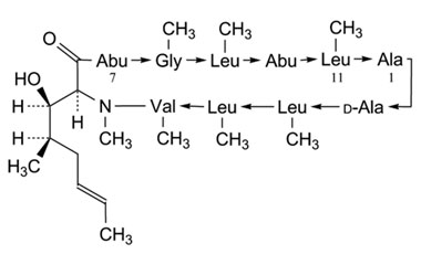 PA PEP 000045