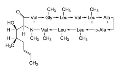 PA PEP 000046