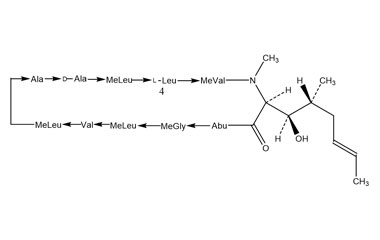 PA PEP 000054