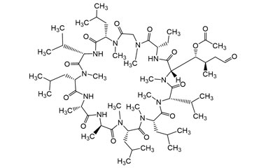 PA PEP 000056