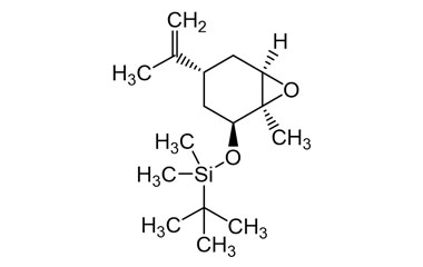 PA PEP 000061