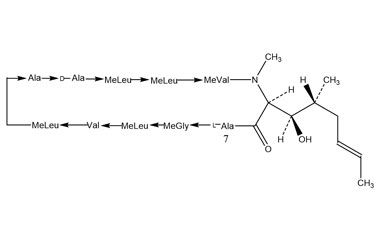 PA PEP 000071