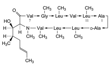 PA PEP 000073