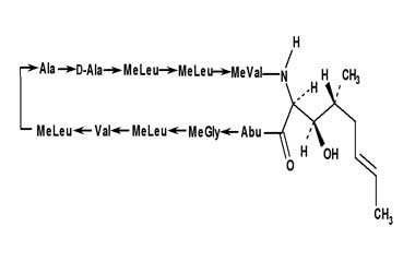 PA PEP 000081