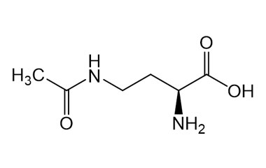 PA PEP 000113