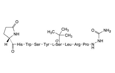 PA PEP 000133