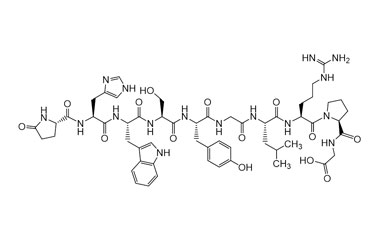 PA PEP 000146