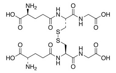 PA PEP 000184