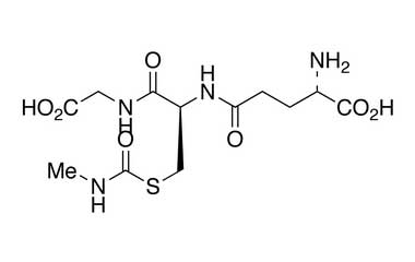 PA PEP 000194