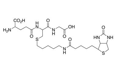 PA PEP 000197