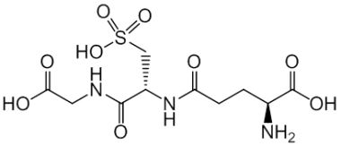 PA PEP 000199