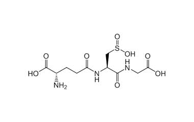 PA PEP 000202