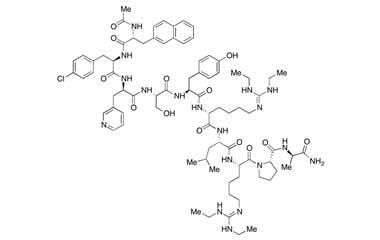 PA PEP 000203