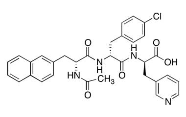 PA PEP 000204