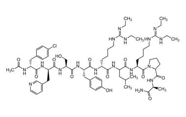 PA PEP 000205