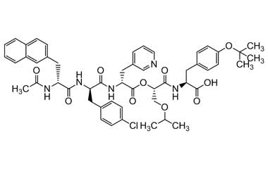 PA PEP 000206