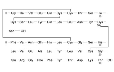 PA PEP 000224