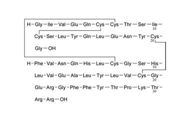 PA PEP 000234