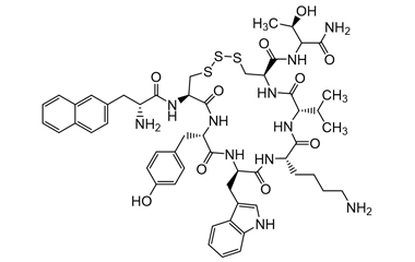 PA PEP 000250